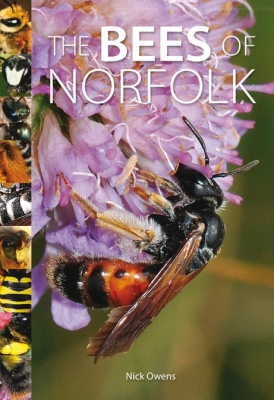 The Bees of Norfolk